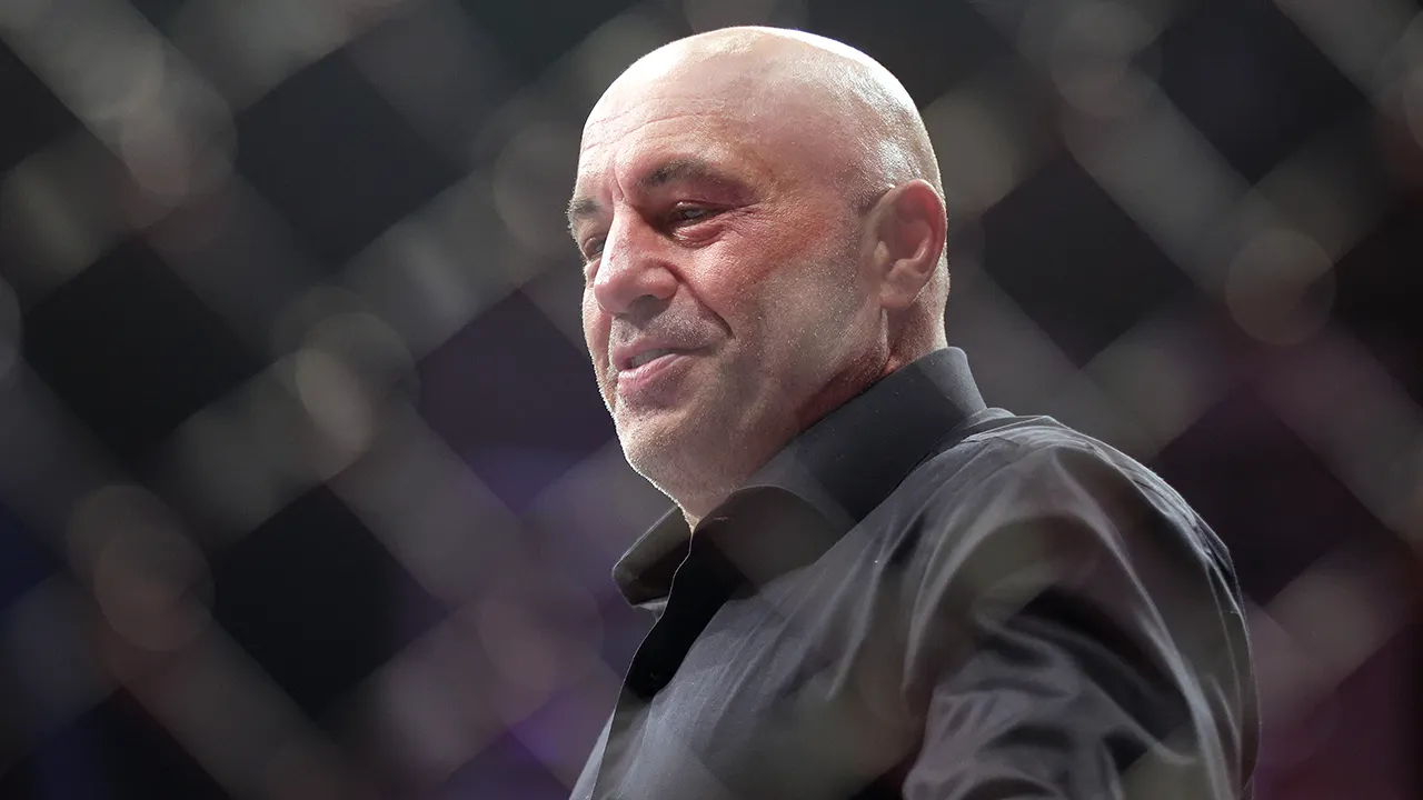 Rogan supports ICE operations, claims Democrats created the problem by allowing border access.