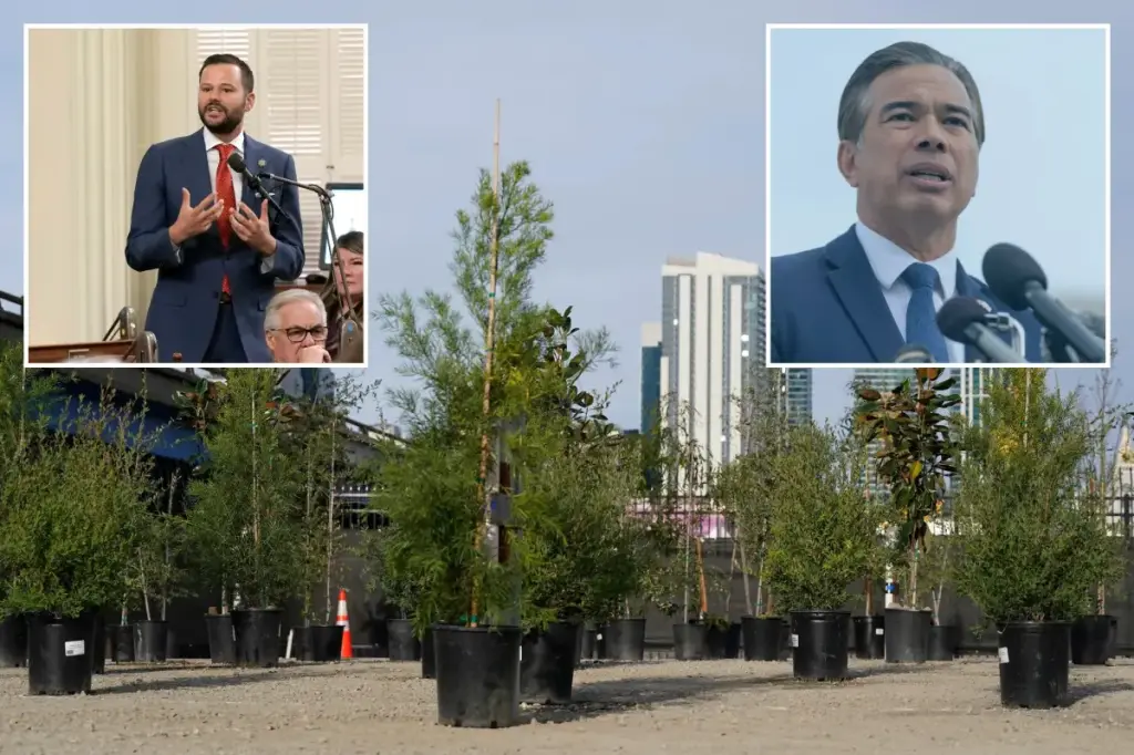 SF lawmaker requests investigation into tree shortages during city challenges