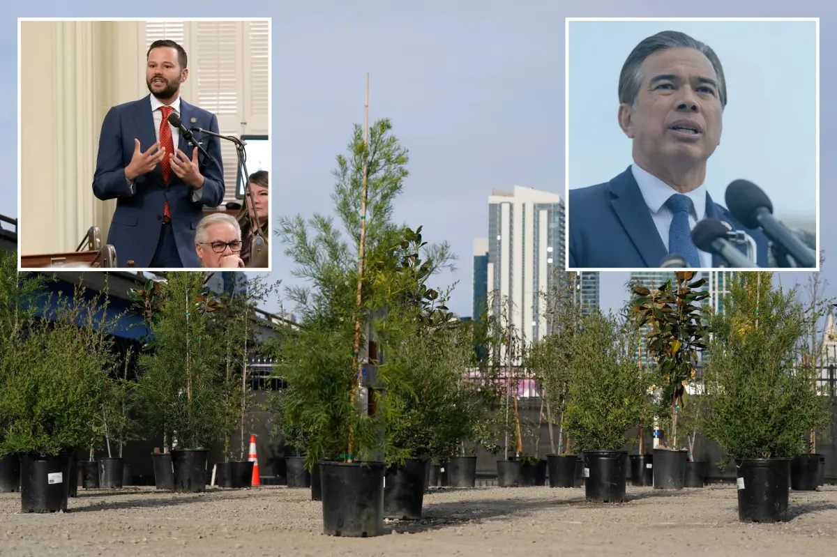 SF lawmaker requests investigation into tree shortages during city challenges