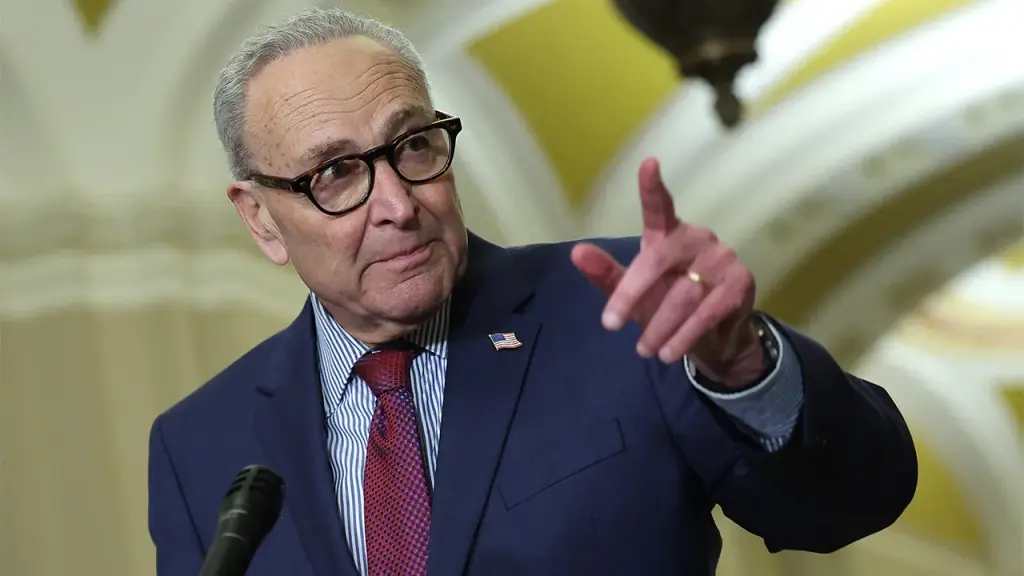 Schumer supports the idea of sending senators and NYPD to confront ICE in Minneapolis