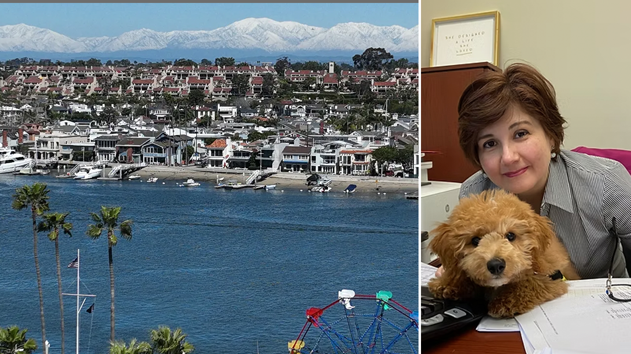 Separated husband charged with the murder of Newport Beach woman Aryan Papoli