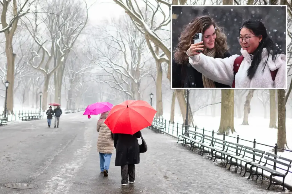 Severe cold wave in NYC may result in feels-like temperatures dropping below zero