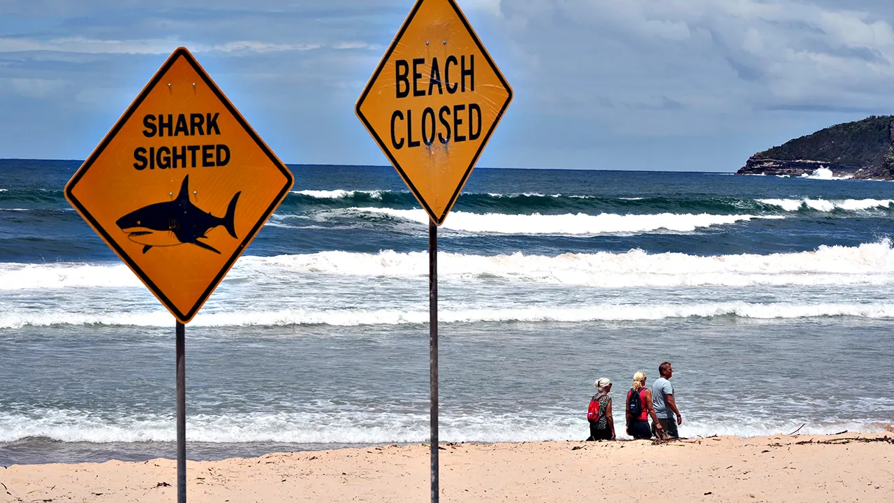 Shark attack in Australia marks the fourth incident in three days as a surfer survives