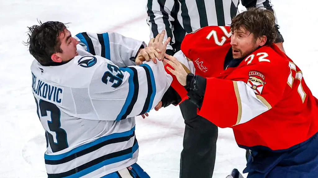 Sharks and Panthers goalies clash during game