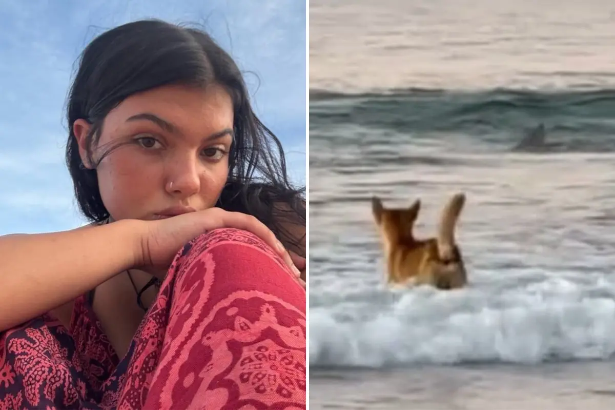 Shocking finding in autopsy of Canadian teen discovered dead near dingoes as family gets initial report