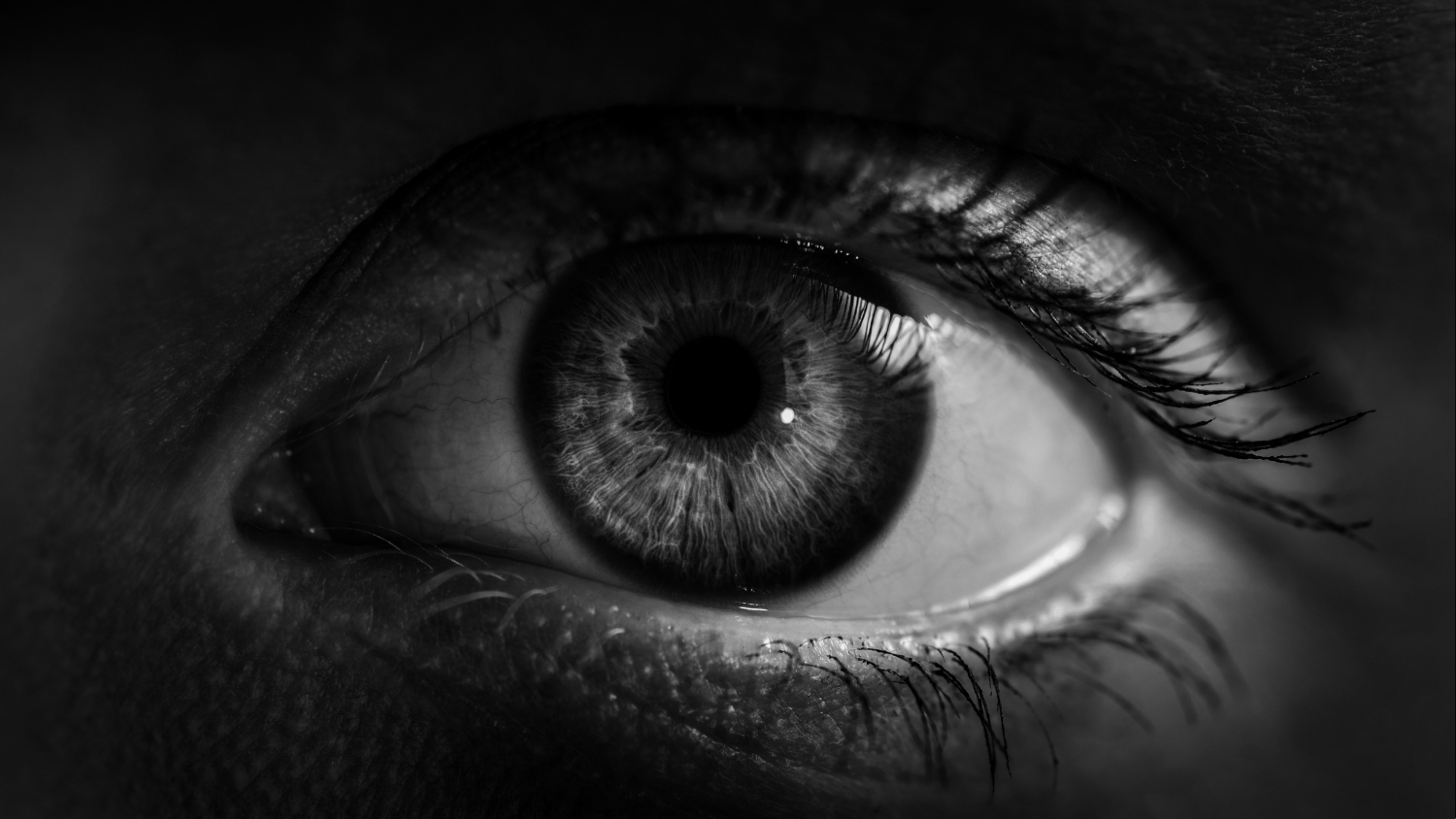 Significant Research Connects Night Owl Lifestyle to Increased Risk of Heart Attack and Stroke