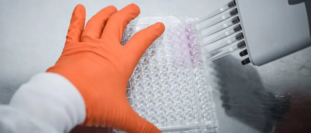 Skeleton Found on Shore Years Ago Finally Recognized as Missing Mayor from Oregon