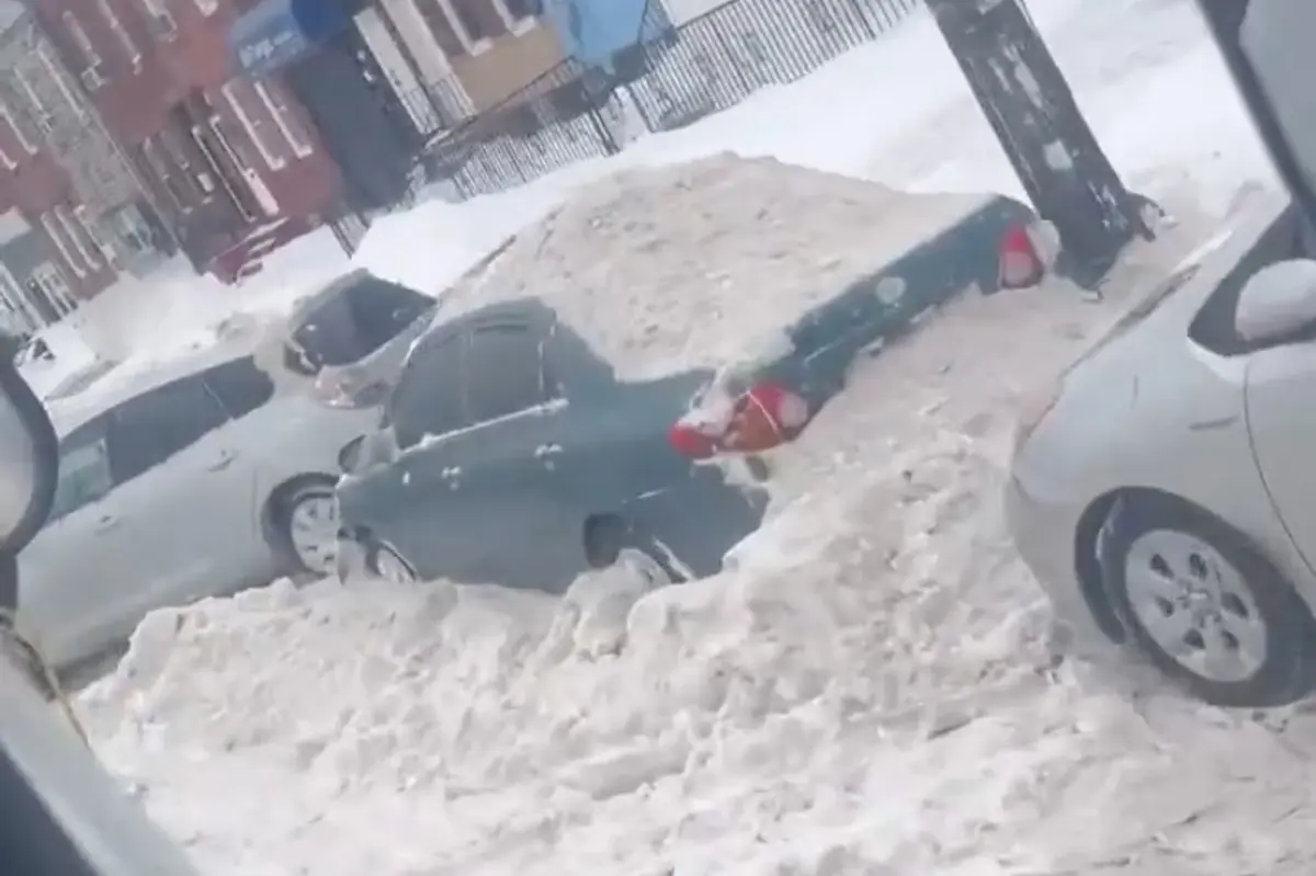 Snowplow driver in Philadelphia films himself deliberately dumping snow on cars