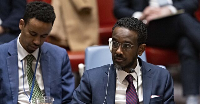 Somalia Takes Over the Rotating Presidency of the U.N. Security Council