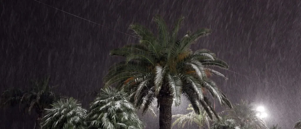 South Florida Might Experience Snow Because of Unusual Gulf-Effect Conditions