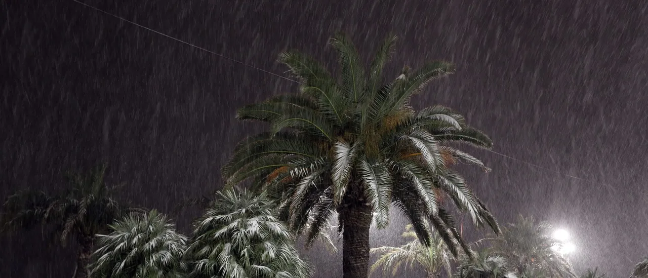 South Florida Might Experience Snow Because of Unusual Gulf-Effect Conditions