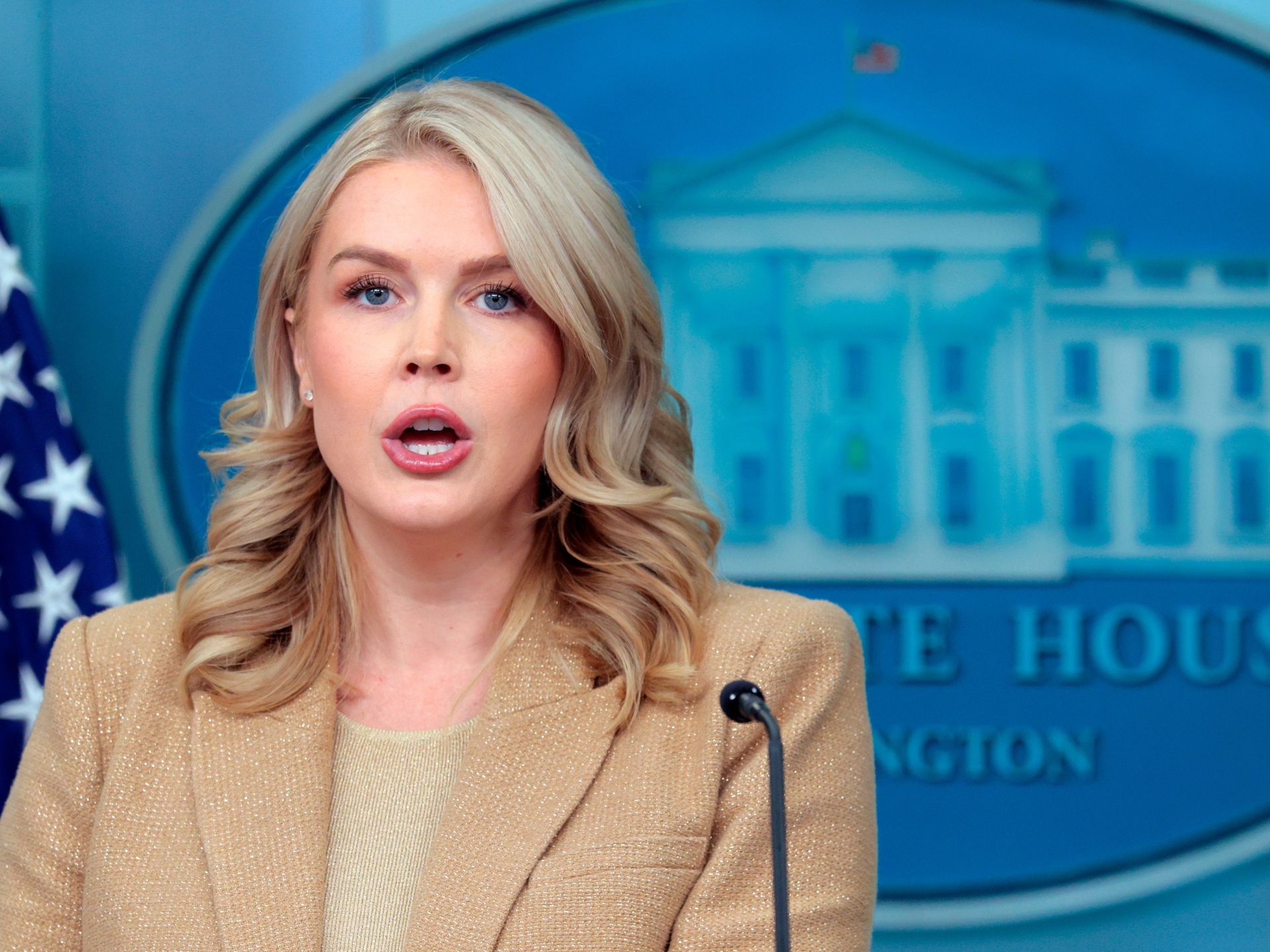 Spread Falsehoods About Federal Law Enforcement