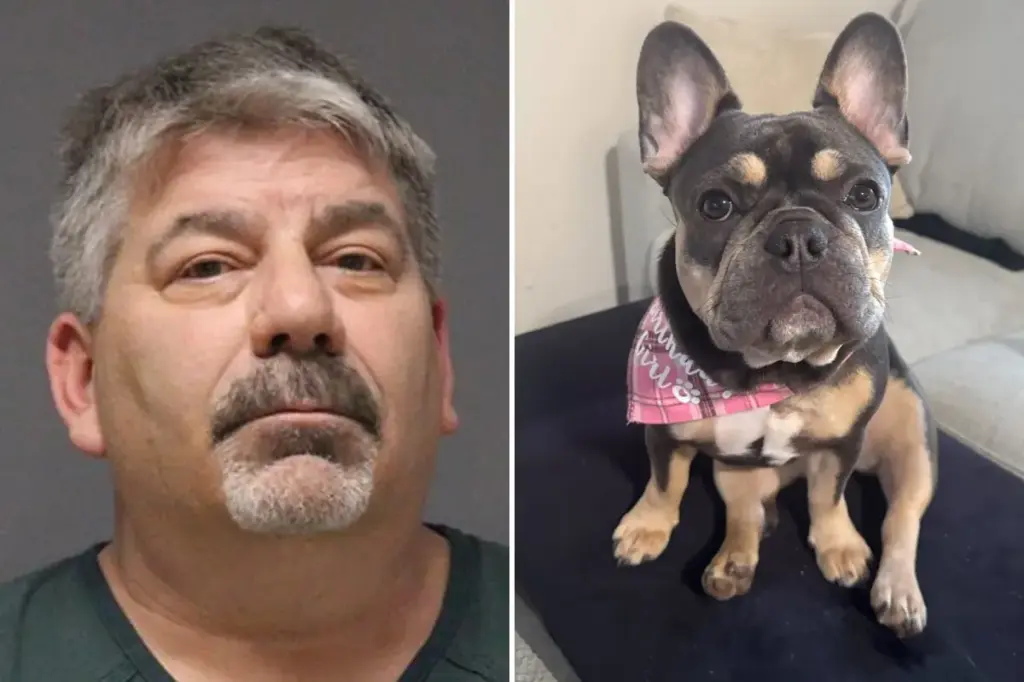 Stepdad dog-sitter accidentally kills cherished pet and faces potential long sentence