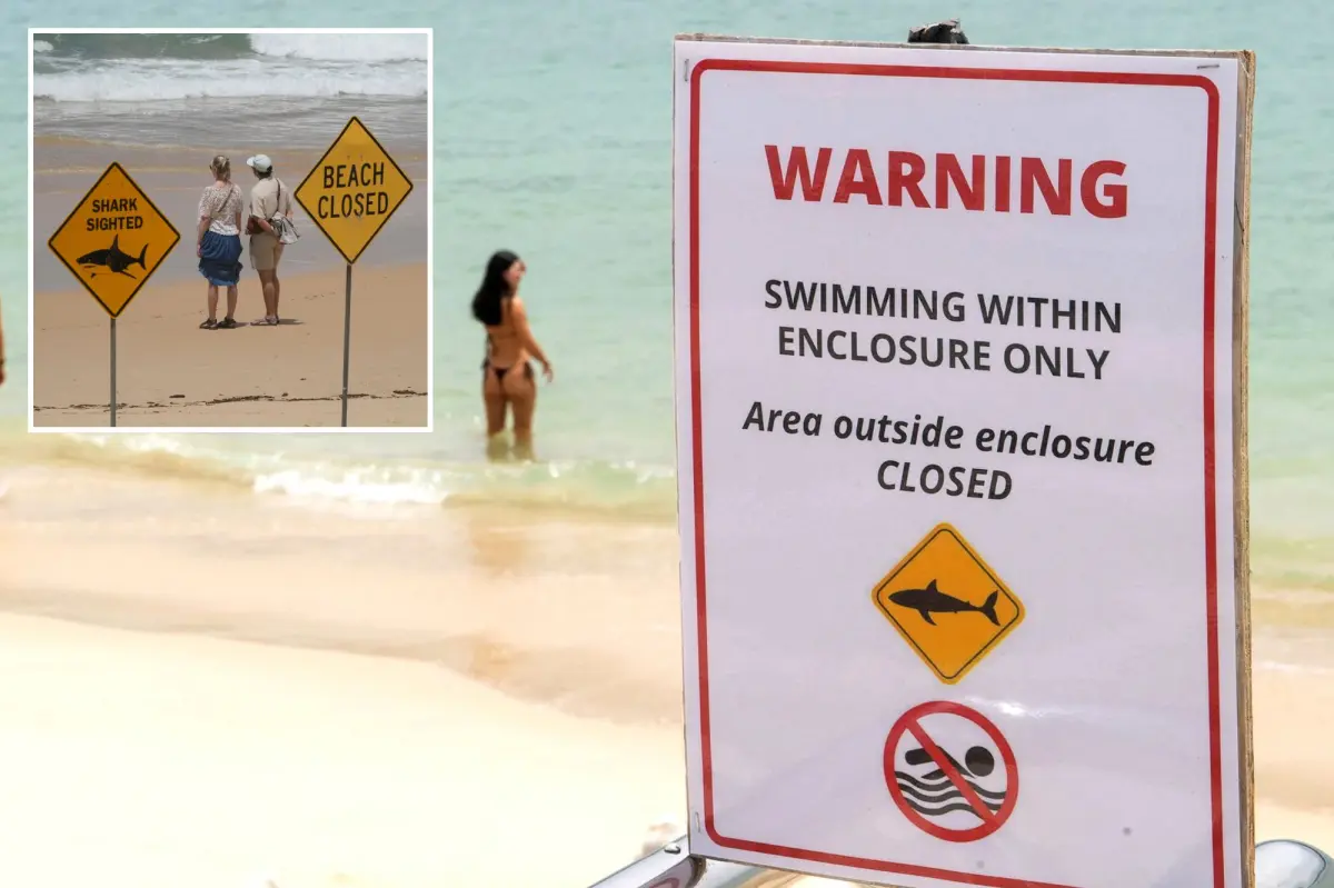 Surfer bitten in the fourth shark incident on Australia's east coast in three days.
