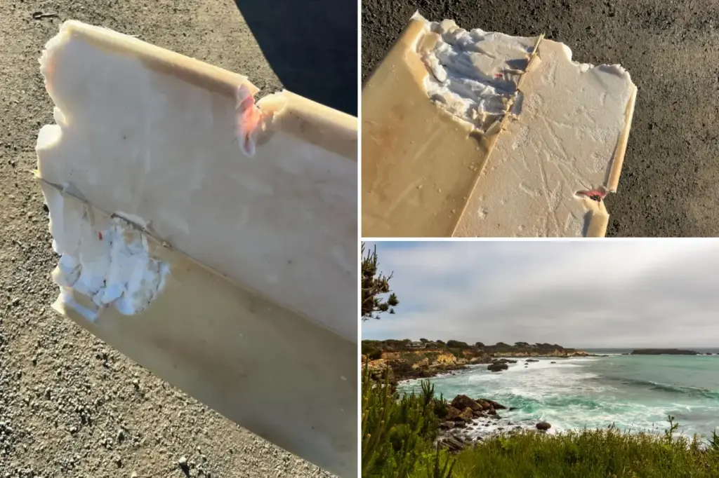 Surfer in California injured by shark in the state's first attack of 2026