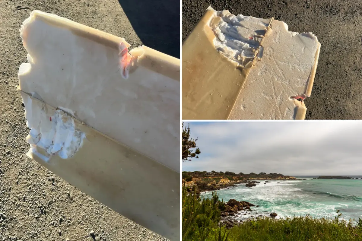 Surfer in California injured by shark in the state's first attack of 2026