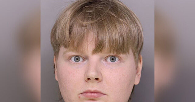 Suspected Vance Home Vandal Has Criminal History, Requested to Be Named 'Julia'