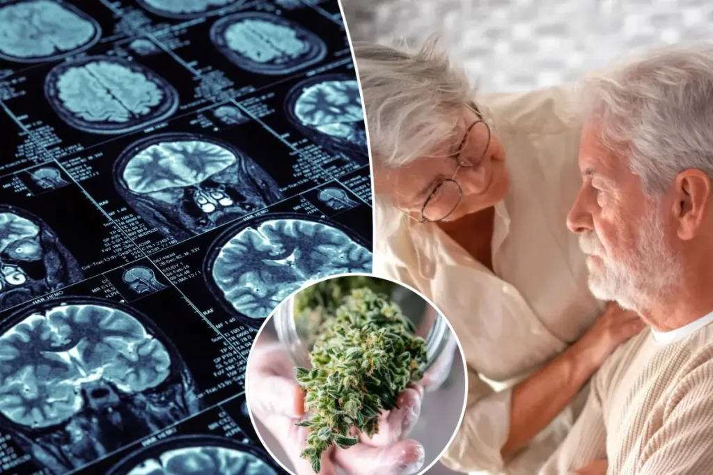 THC might help guard against Alzheimer’s when used with this medication