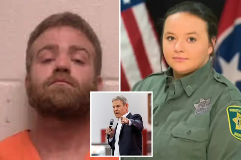 Tennessee introduces the nation's first public database for monitoring domestic abusers