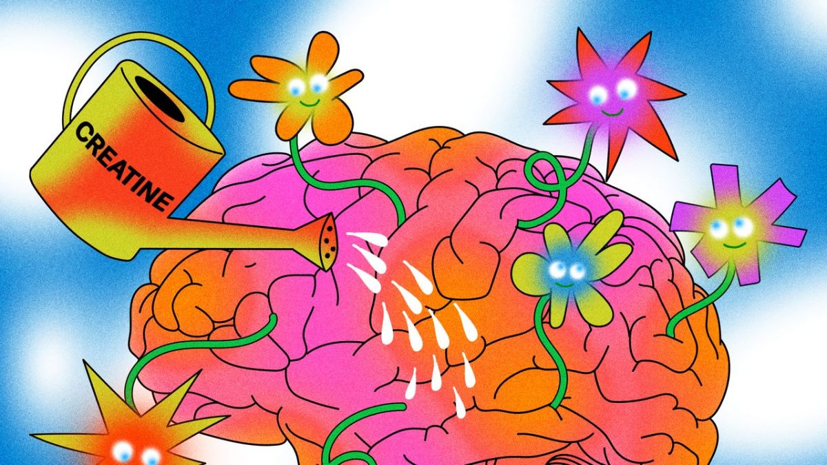 The Various Subtle Ways Creatine Enhances Your Health