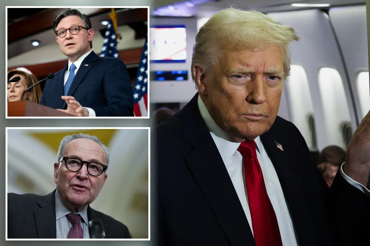 The critical areas Democrats need to win to gain control of Congress and challenge Trump