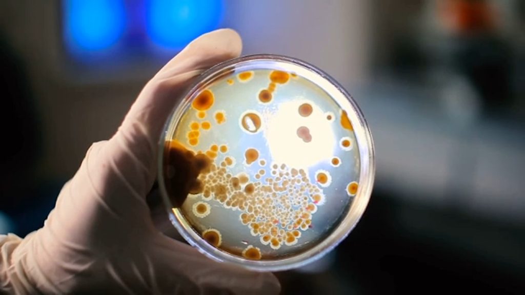 The surprising way norovirus can spread within your home