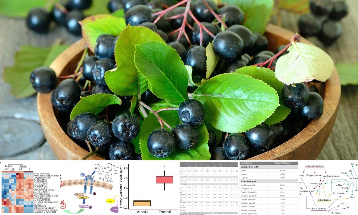 This nutrient-rich fruit helps manage blood sugar and blood pressure.