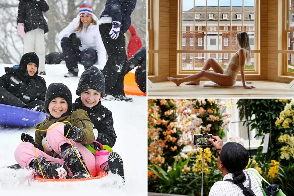 Top places for sledding, relaxation, and hot chocolate