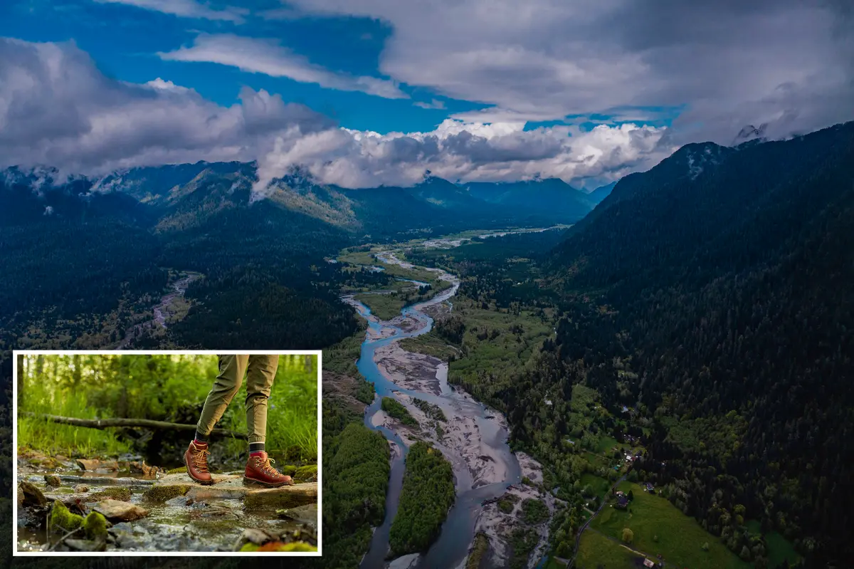 Two hikers in Olympic National Forest die when a tree falls on a well-traveled path.