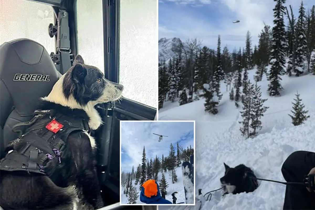 Two snowmobilers die and two are rescued in Washington avalanche.