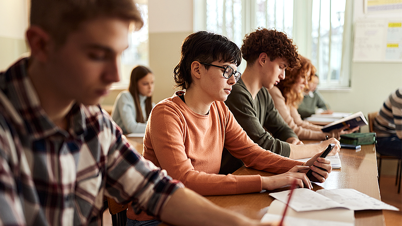 UC Berkeley students receive the highest support for mental health disabilities.