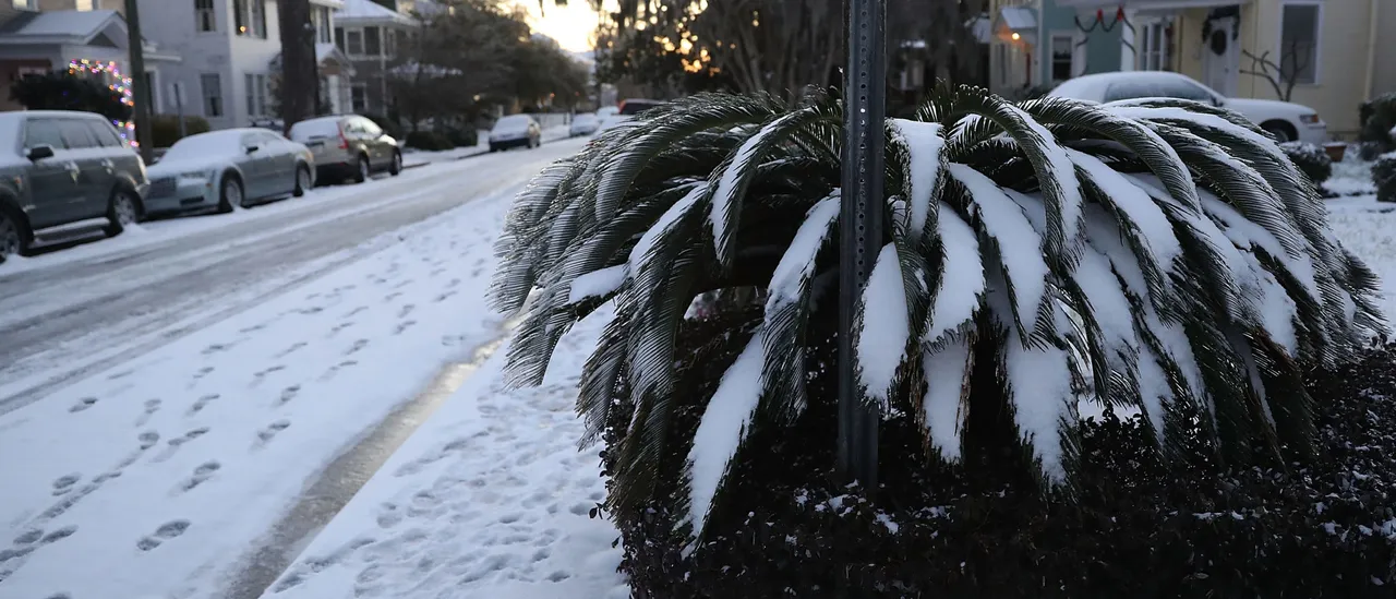 Unusual Snow May Hit Florida and Georgia as Arctic Chill Moves South