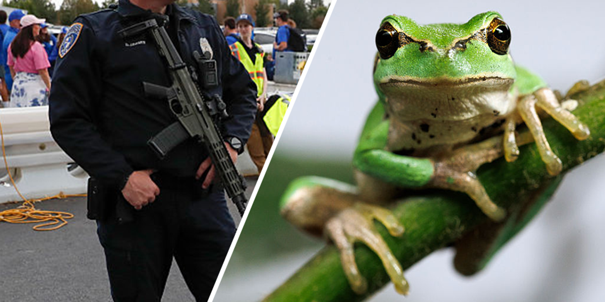 Utah police report states officer transformed into a frog
