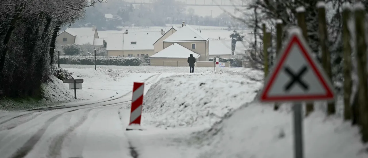 Vermont Town Warns Farmer of Daily Fines Due to Maple Tree Conflict