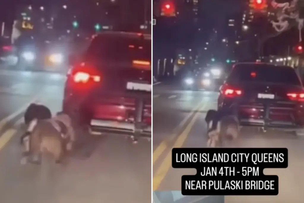 Video reveals disturbing scene of monster dragging 2 dogs behind a car in NYC