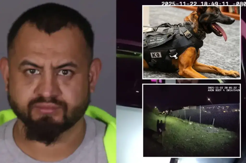 Video reveals police K-9 shot and killed by gang member involved in illegal migration