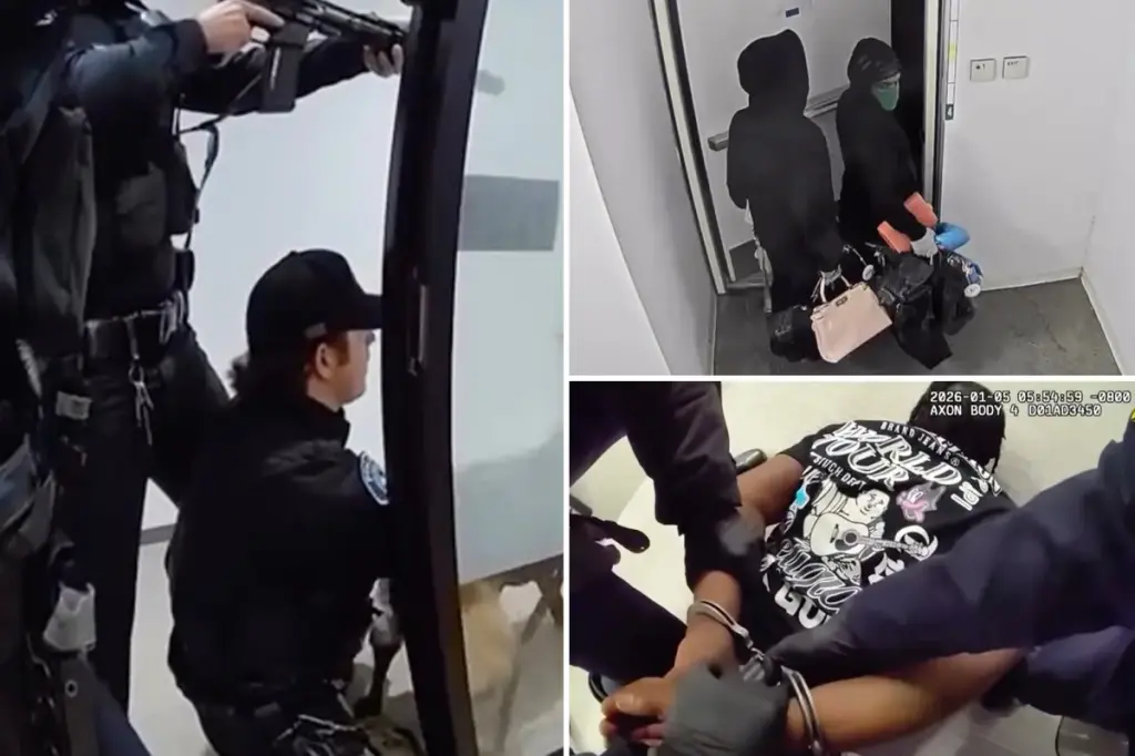 Video shows luxury handbag robbers apprehended during their crime in California