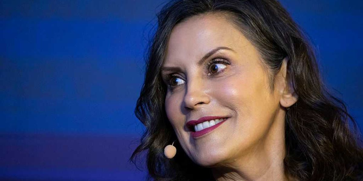 Whitmer appointee from Nigeria confesses to day-care fraud, taking millions from Michigan taxpayers