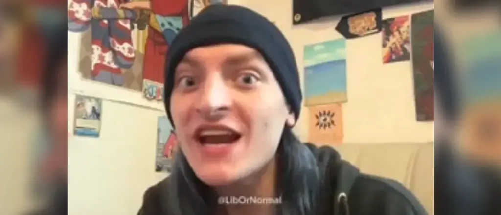 “You're Useless! Set Something on Fire!”: Left-Leaning TikTok User Urges Violence Against ICE Agents