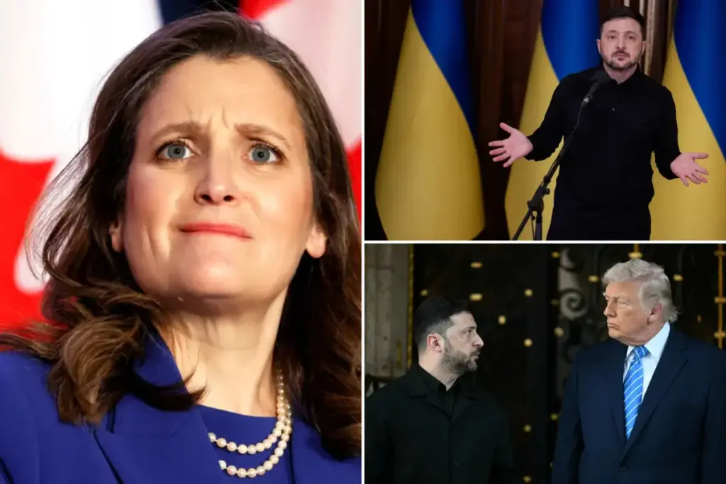 Zelensky chooses new adviser that Trump described as 'terrible' before Paris discussions with Witkoff and Kushner