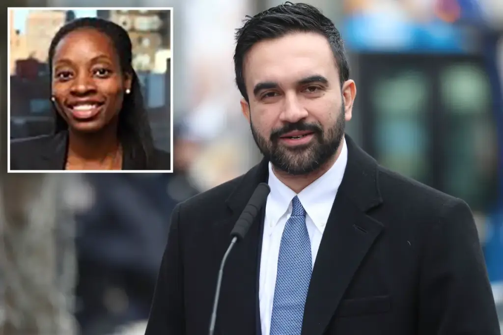 Zohran Mamdani enlists budget expert as intermediary in Albany to advance socialist goals