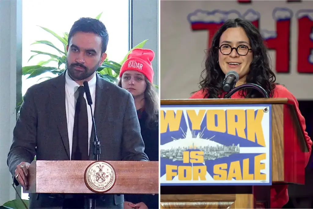 Zohran Mamdani supports a crucial DSA partner in the New York House election
