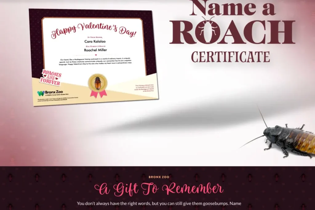 Zoos provide Valentine's Day presents: Cockroaches named for former partners