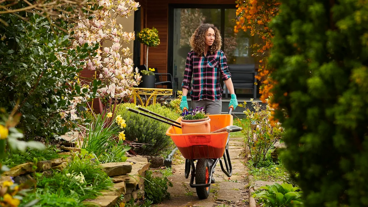19 lawn and garden items to consider purchasing before spring arrives