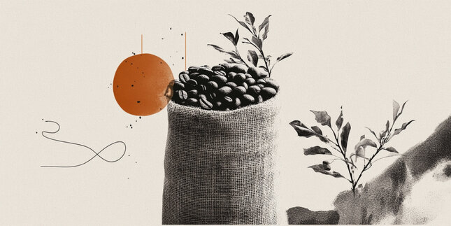 A product in search of a market: the hazelnut crisis