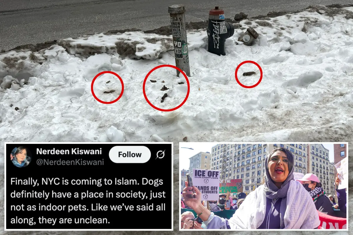 Anti-Israel activist comments that the dog waste crisis shows why NYC should embrace Islam