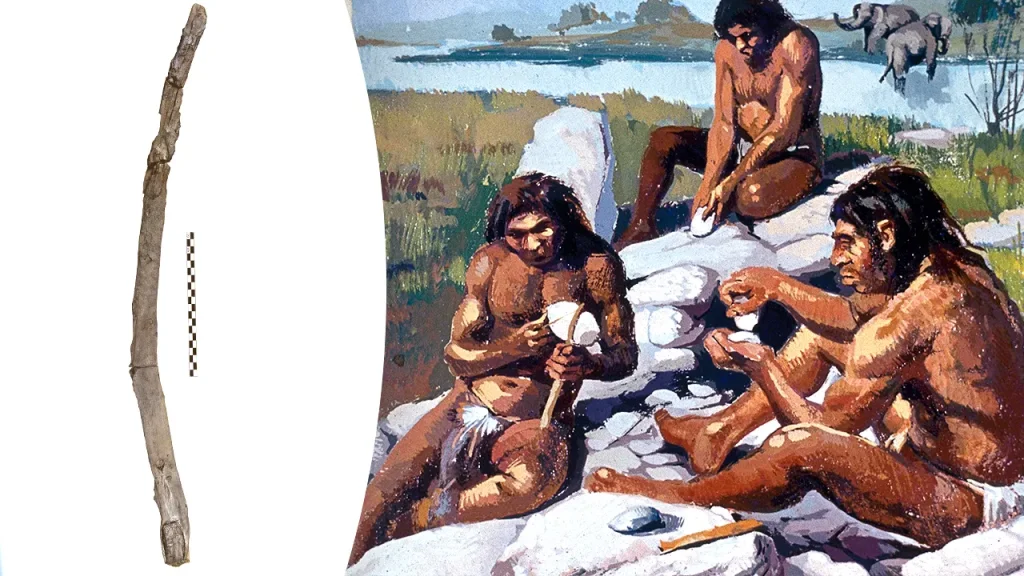 Archaeologists discover the oldest wooden tools in Greece, estimated to be 430,000 years old.