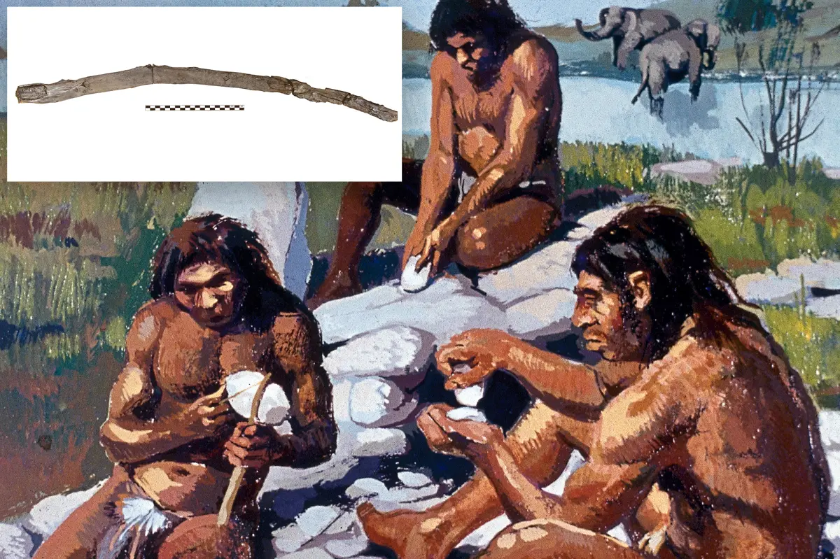 Archaeologists discover what may be the earliest handheld wooden tools