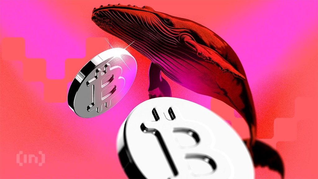 Bitcoin's Price Drop Highlights Major Market Divides: Chance or Fundamental Weakness?