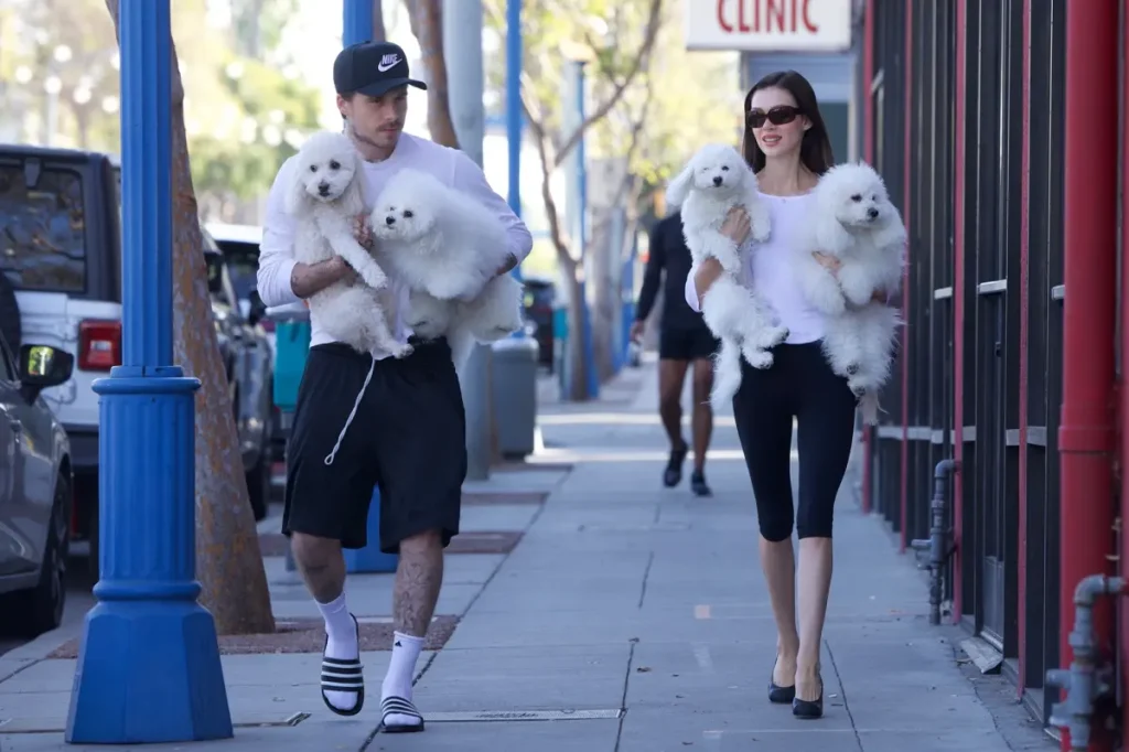 Brooklyn Beckham and Nicola Peltz coordinate with their dogs in black and white clothes